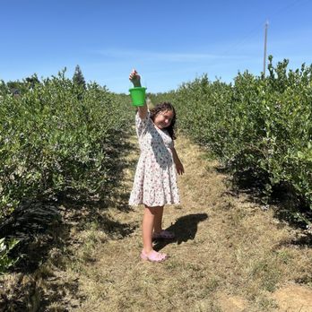Daisy Creek Farms - Pick Your Own Farms Near Me - Galt, California