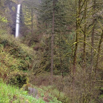 Latourell Falls - Right off the highway, incredible! - Hiking Near Me - Portland, Oregon Latourell Falls - Right off the highway, incredible! - Hiking Near Me - Portland, Oregon