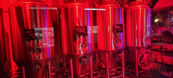 Tranquility Brewing Company by null