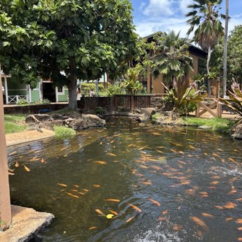 Honolulu Zoo - Zoos Near Me - Honolulu, Hawaii