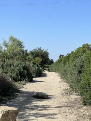 DeForest Park photo 2