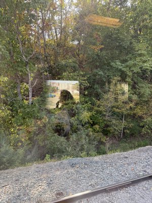 Virginia Scenic Railway by null