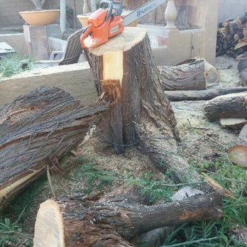 Quality Landscaping & Yard Cleaning - Cuttimg down a tree - Landscaping Near Me Quality Landscaping & Yard Cleaning - Cuttimg down a tree - Landscaping Near Me