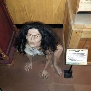 Ripley's Believe It or Not! - Museums Near Me - San Francisco, California
