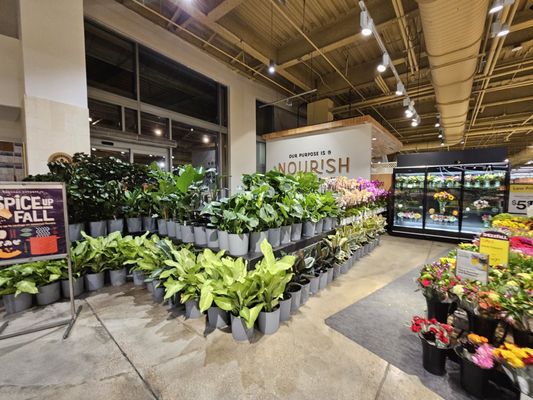 Whole Foods Market by null