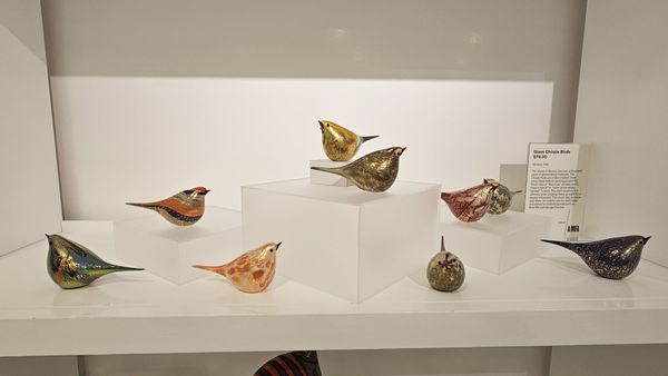 Arkansas Museum of Fine Arts by null