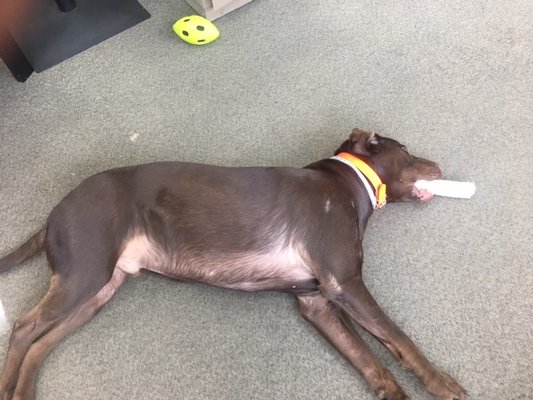 Albemarle Lock & Safe by null