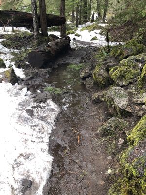 Tamolitch Falls (Blue Pool) by null