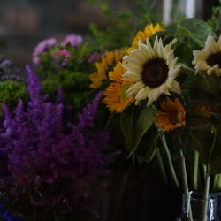 Your Enchanted Florist