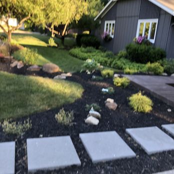 Black Bear Services - Tree Services Near Me Black Bear Services - Tree Services Near Me