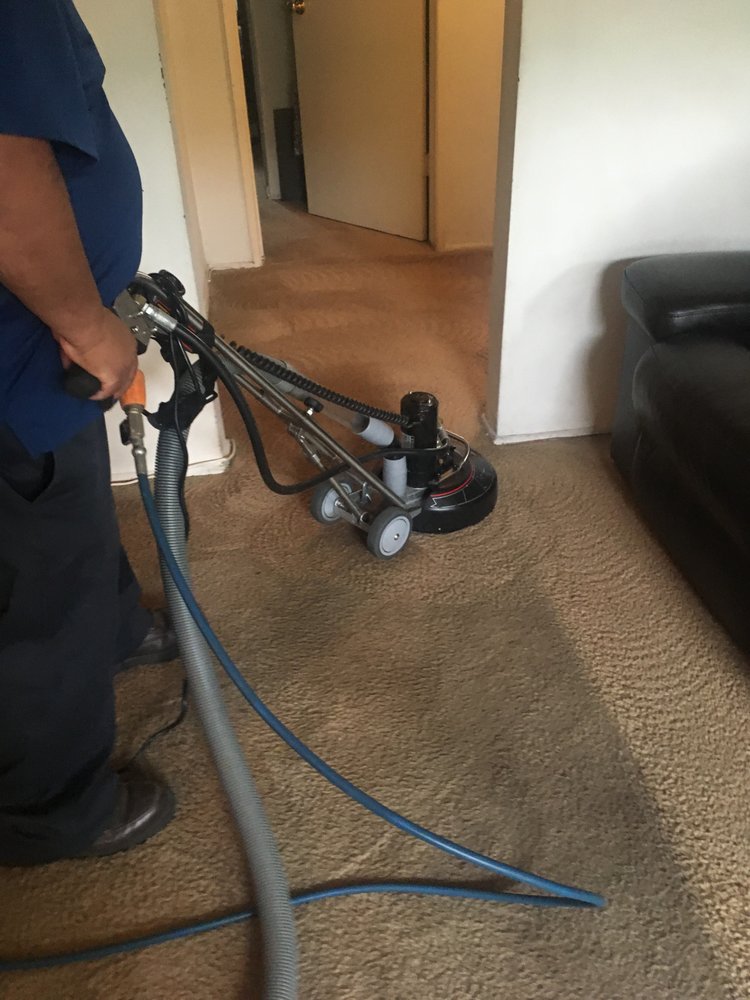 MAX CARPET CLEANING Updated September 2024 13 Photos 6130 Camino