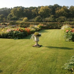Château de Saint-Jean de Beauregard - Carré jaune du potager fleuri