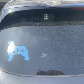 Alpha Auto Glass - Pic of damage #2 - Auto Glass Services Near Me