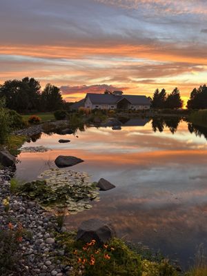 The Kitchen at Abeja by null