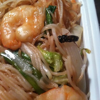 Sushi King - Another view of the lovely view of the dead bee that came in my shrimp chow fun that was delivered tonight. - Japanese Near Me - Troy, New York Sushi King - Another view of the lovely view of the dead bee that came in my shrimp chow fun that was delivered tonight. - Japanese Near Me - Troy, New York