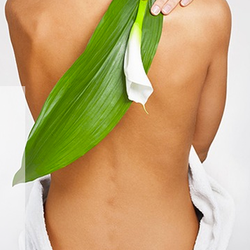 Our mission is to restore and maintain the youthfulness of your skin and body.
Our medical spa uses the newest laser technology