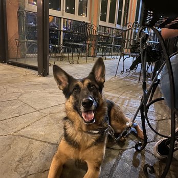 Angelina's Don Francisco's - Dog friendly patio - Mexican Near Me - The Colony, Texas Angelina's Don Francisco's - Dog friendly patio - Mexican Near Me - The Colony, Texas