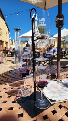 Las Positas Vineyards by null