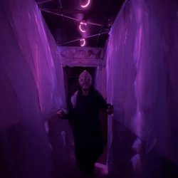 MRJ Escape Room - The performer