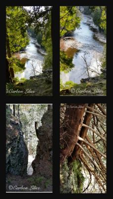 Elora Gorge Conservation Area by null