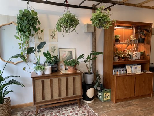 Glasser Coffee Co. by null