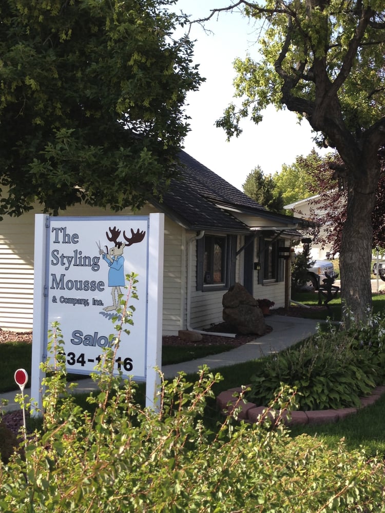 STYLING MOUSSE & COMPANY Updated September 2024 1616 Converse Ave