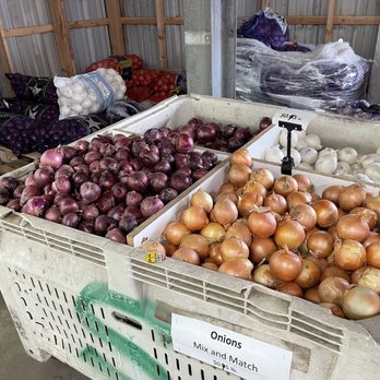 A1 Ag Farmers Market - Onion pricing - Farmers Market Near Me - Lathrop, California