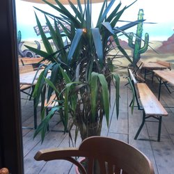 Paco's Tacos - tacos and beers