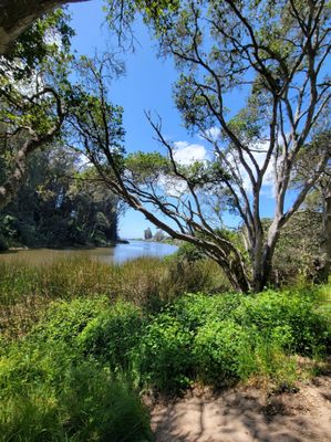Twin Lakes State Beach by null