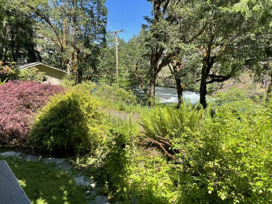 Steamboat Inn by null