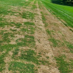 Trull Brook Golf Course, Inc