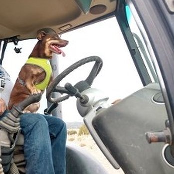 The RV Ranch - Had to talk with the New Guy today about not wearing a hard hat. - RV Parks Near Me - Penrose, Colorado The RV Ranch - Had to talk with the New Guy today about not wearing a hard hat. - RV Parks Near Me - Penrose, Colorado