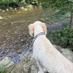 Montauk State Park - The current river right by our RV site