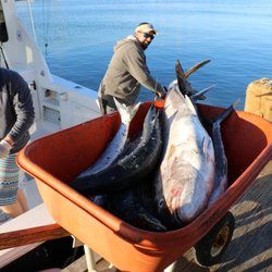 Badfish Sportfishing