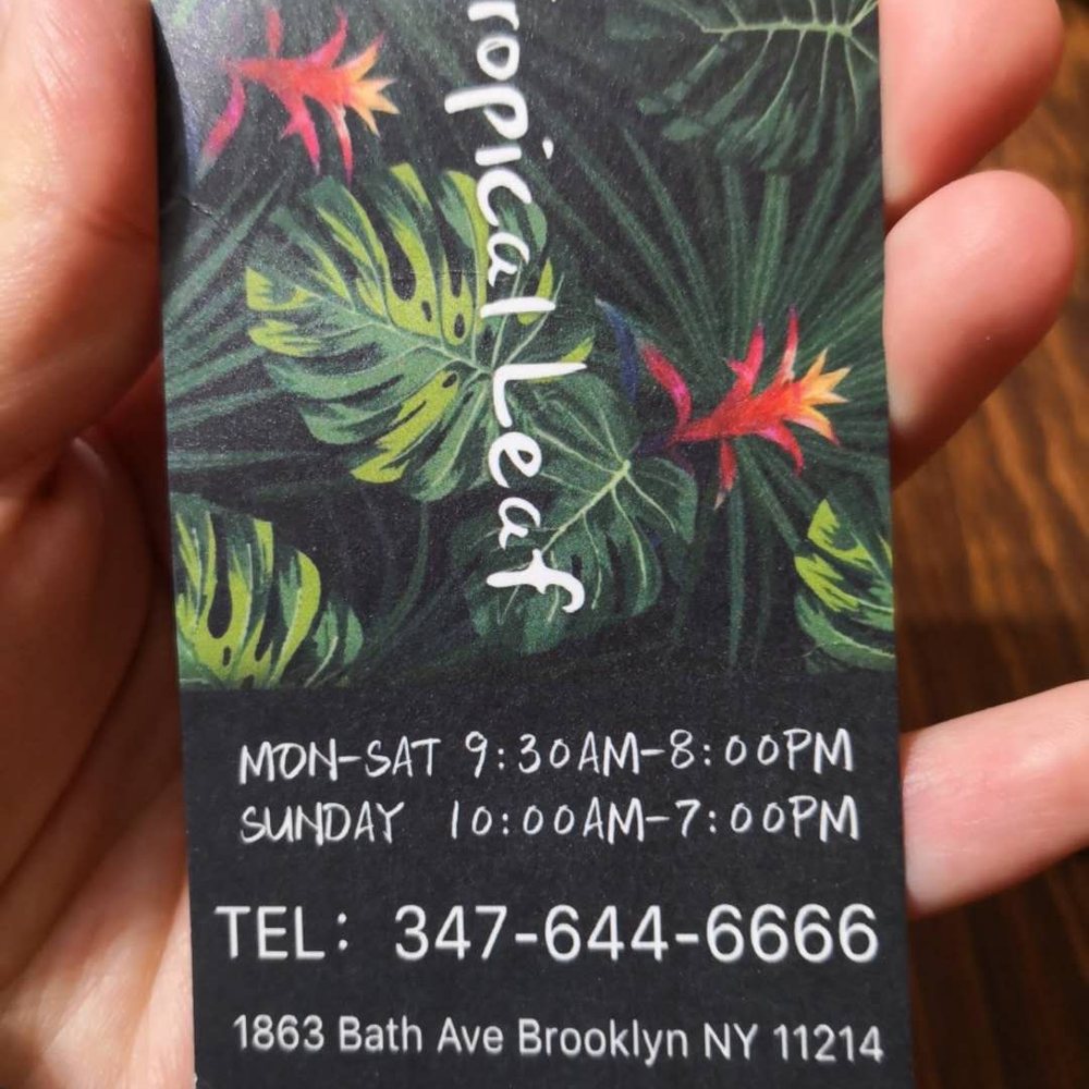 Tropical Leaf - Nail Salons Near Me - Brooklyn, New York Tropical Leaf - Nail Salons Near Me - Brooklyn, New York