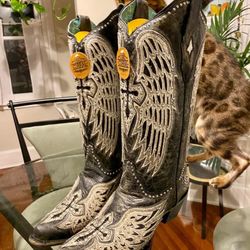Country Soul - Look at them!!! Just look!!!!