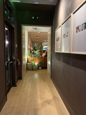 The Kingsway by null