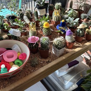 Nodest Home Plants - Home Decor Near Me - Omaha, Nebraska