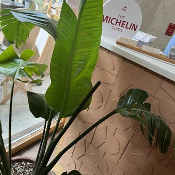 Delbar Middle Eastern - Persian/Iranian Near Me - Atlanta, Georgia