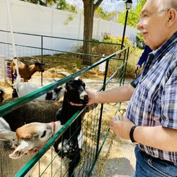 Arden Courts of Geneva - Another fun outing that they had at the Arden Courts Geneva was they brought in a petting zoo. My dad really enjoyed it.