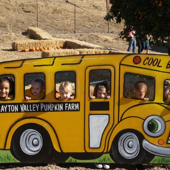 Happy Little Faces - Preschools Near Me - Concord, California