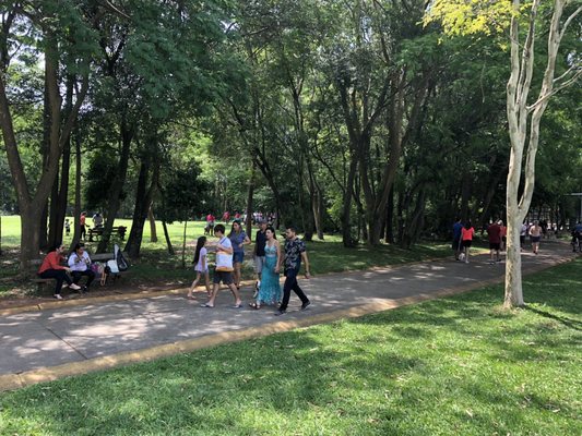 Parque Villa-Lobos by null