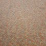 Photo of JC Carpet Cleaning