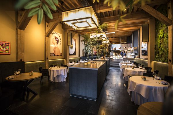 Ratatouille Food & Wine by null