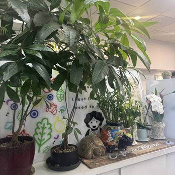 Cafe De Mama - Interior - Coffee & Tea Near Me - Los Angeles, California