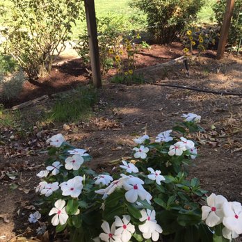DREAM - Irrigation Near Me DREAM - Irrigation Near Me