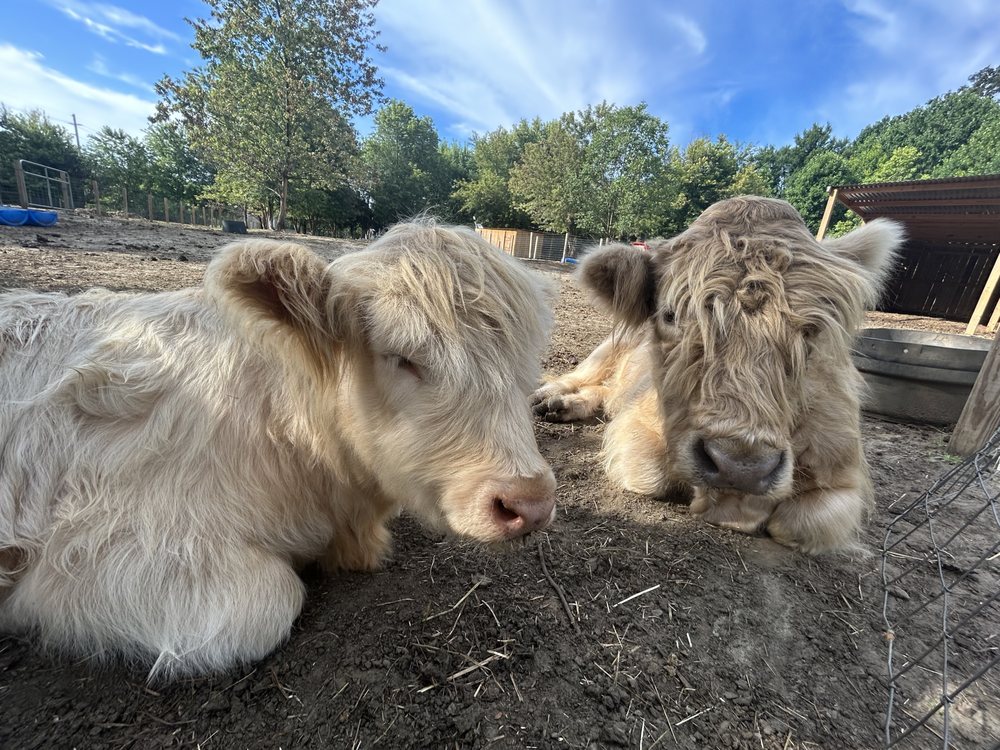 HIDDEN HILL FARM - Updated August 2025 - 690 Woodbury Glassboro Rd