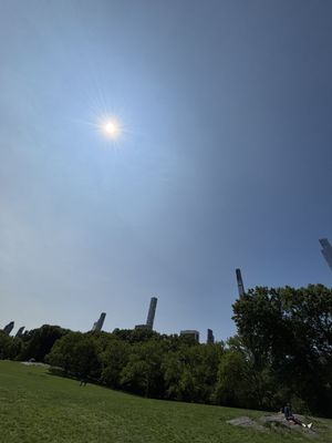 Sheep Meadow by null