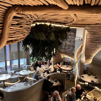 Cantina Monarca - Ambiance - Cocktail Bars Near Me - Bellevue, Washington