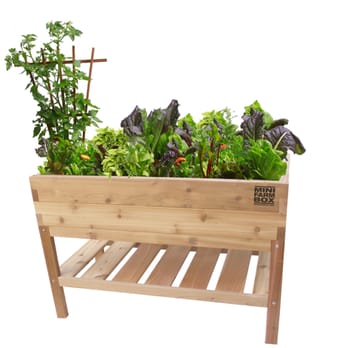 Mini Farm Box - Standing Garden. Measures 2'x4'x36'' high. 11'' planting depth. Purchase online at http://minifarmbox.com/product/elevated-tabl - Nurseries & Gardening Near Me - Los Angeles, California Mini Farm Box - Standing Garden. Measures 2'x4'x36'' high. 11'' planting depth. Purchase online at http://minifarmbox.com/product/elevated-tabl - Nurseries & Gardening Near Me - Los Angeles, California
